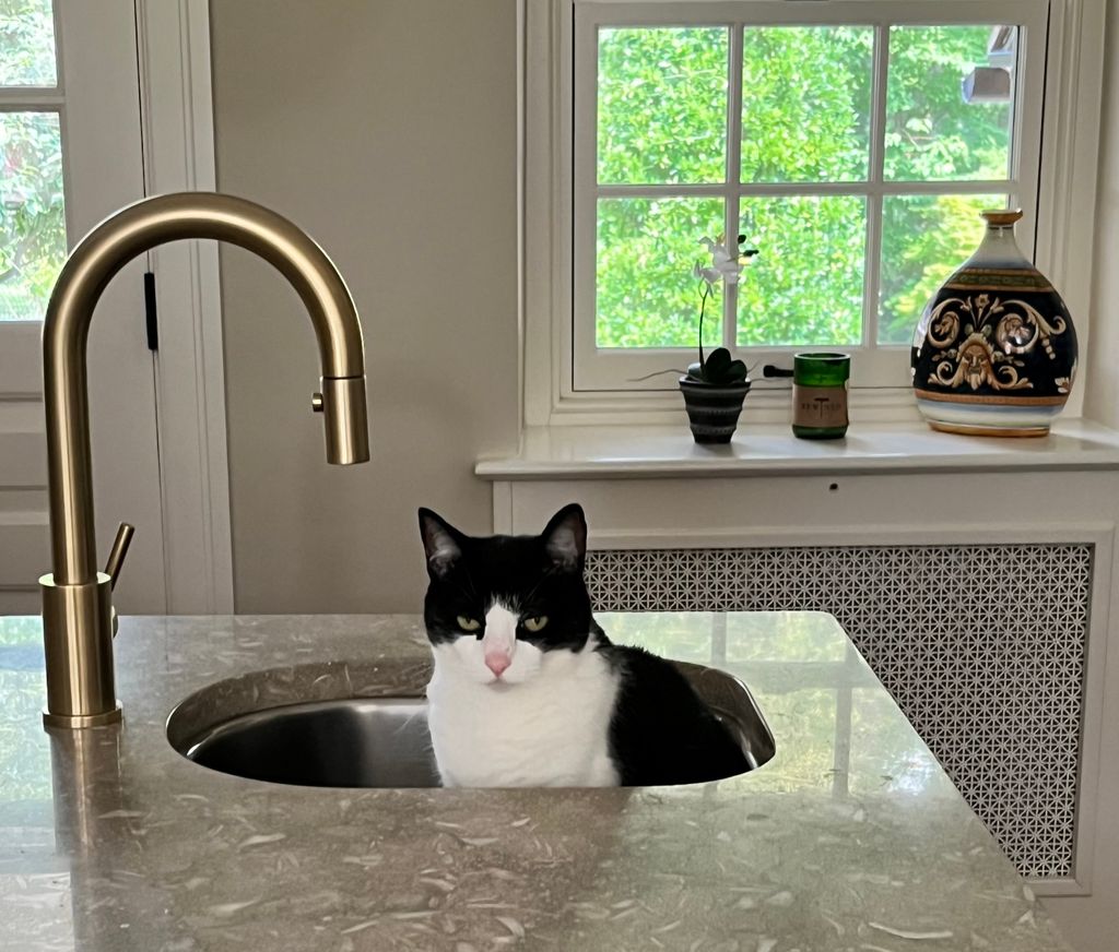 Will care for your pets in your home!