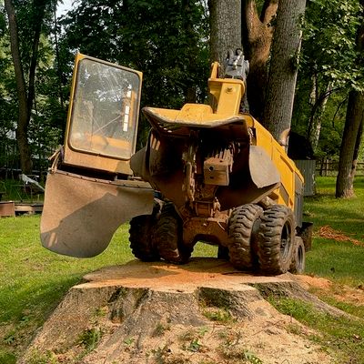 Avatar for Professional Stump Removal LLC