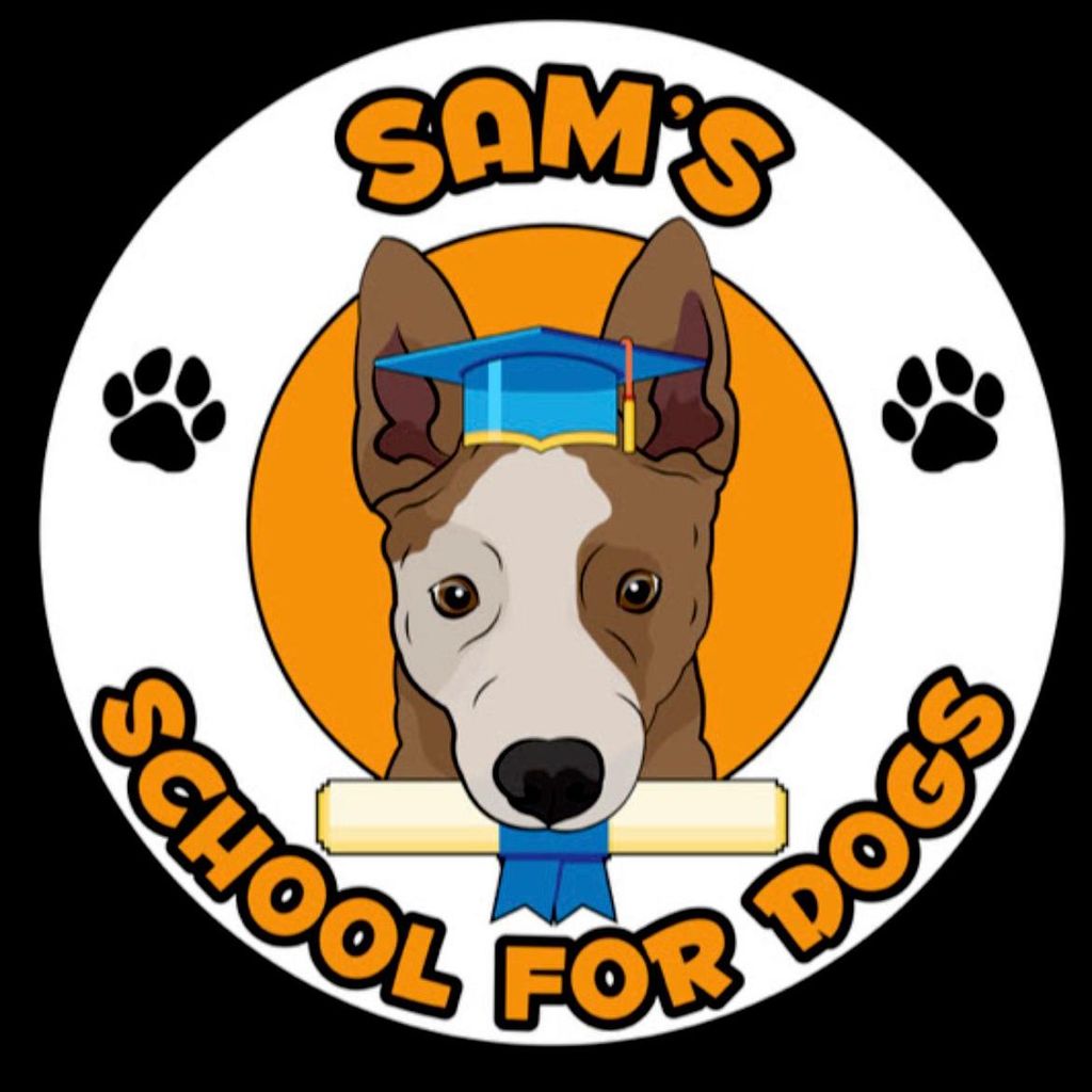 Sams School For Dogs