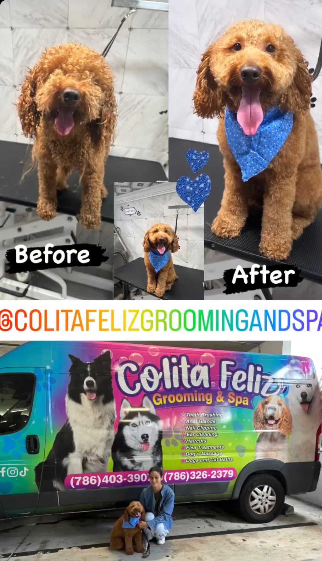 Dog Grooming