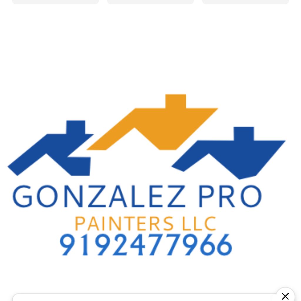 GONZALEZ PRO PAINTERS LLC