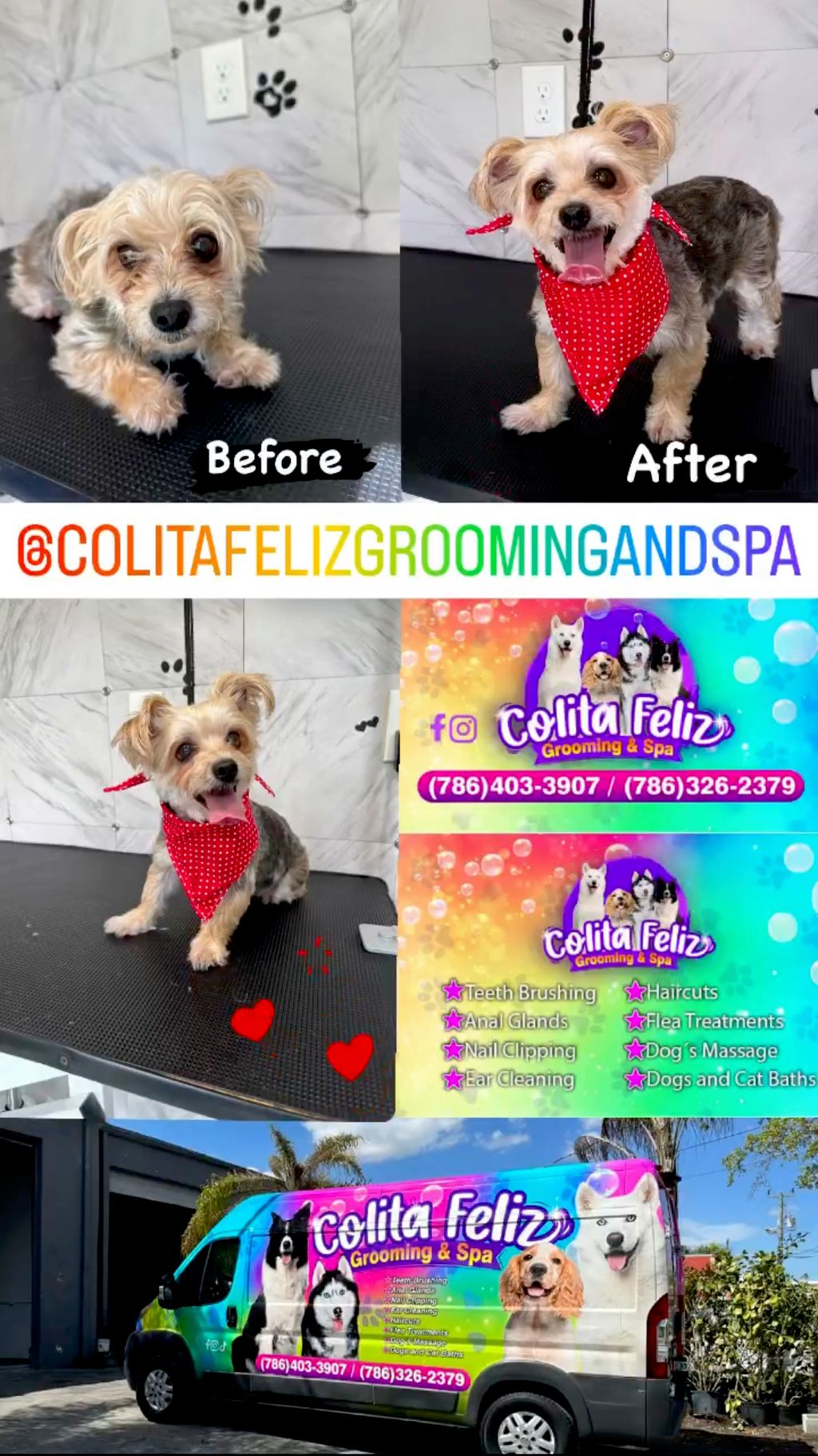 Dog Grooming