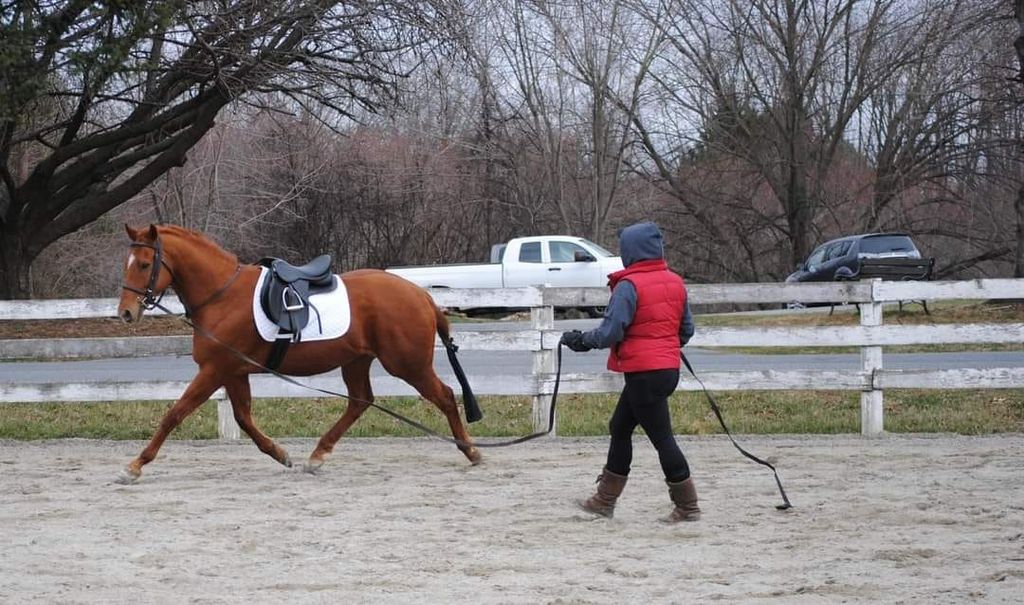 Private Horseback Riding Lessons