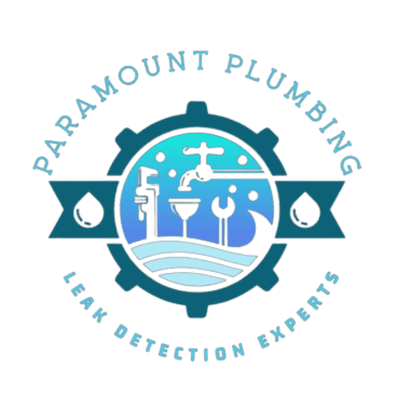 Avatar for Paramount Plumbing Services LLC