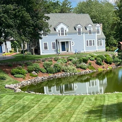 Spotless landscaping services and junk removal