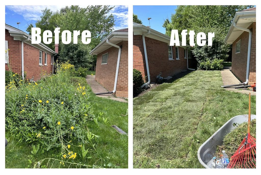 Removed all the weeds and ground cover. Installed 