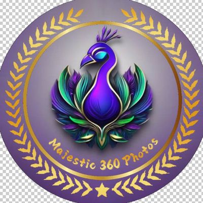 Avatar for Majestic 360 Photos