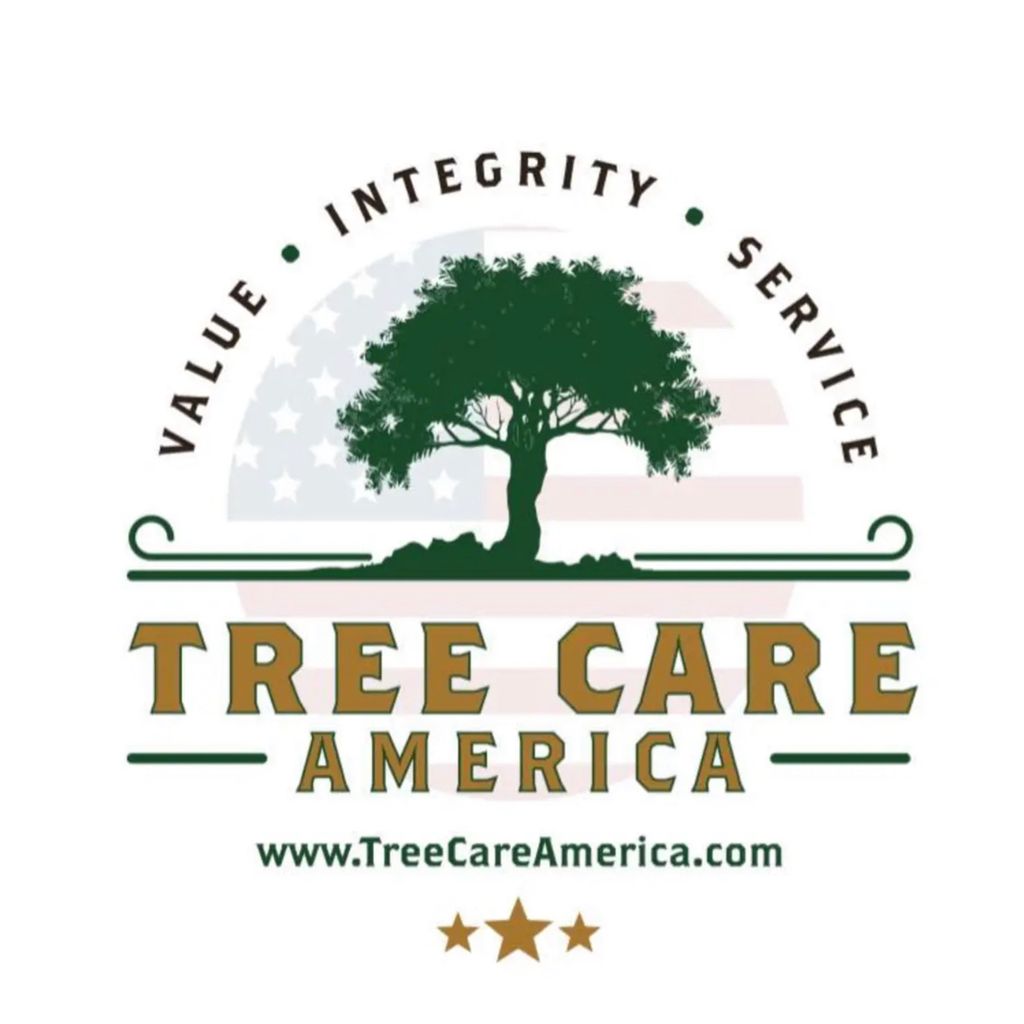 Tree Care America