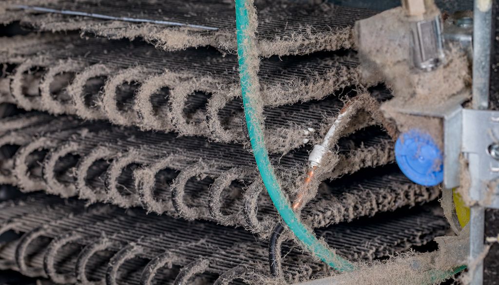 dirty condenser coils with dust on fridge 