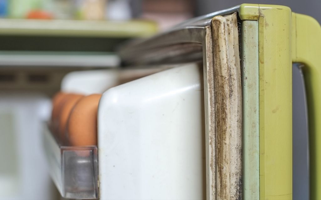 How long do refrigerators last?