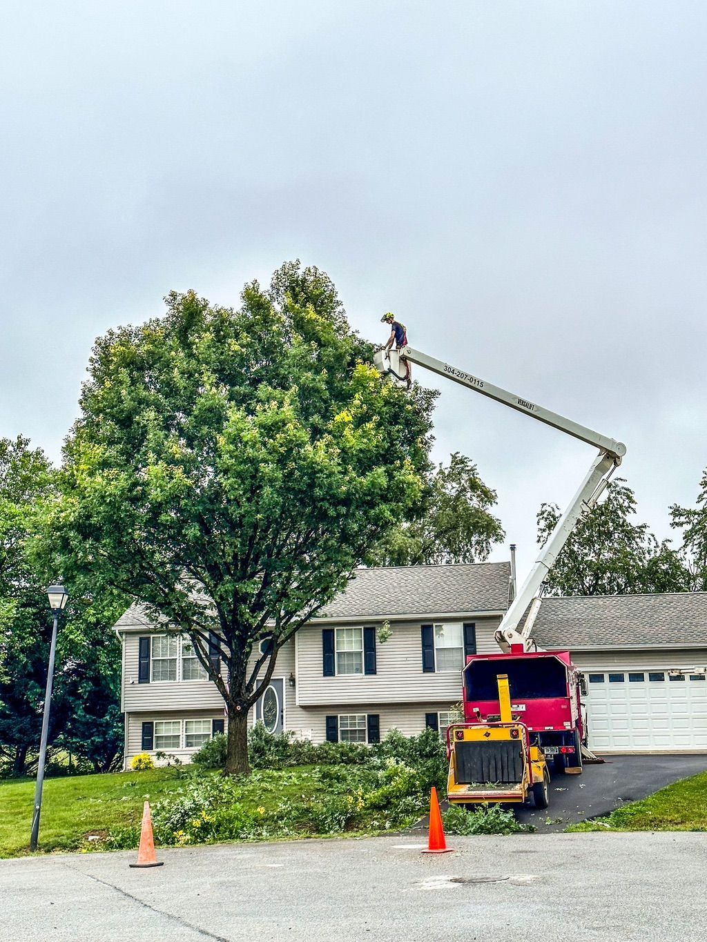 Tree trimming
