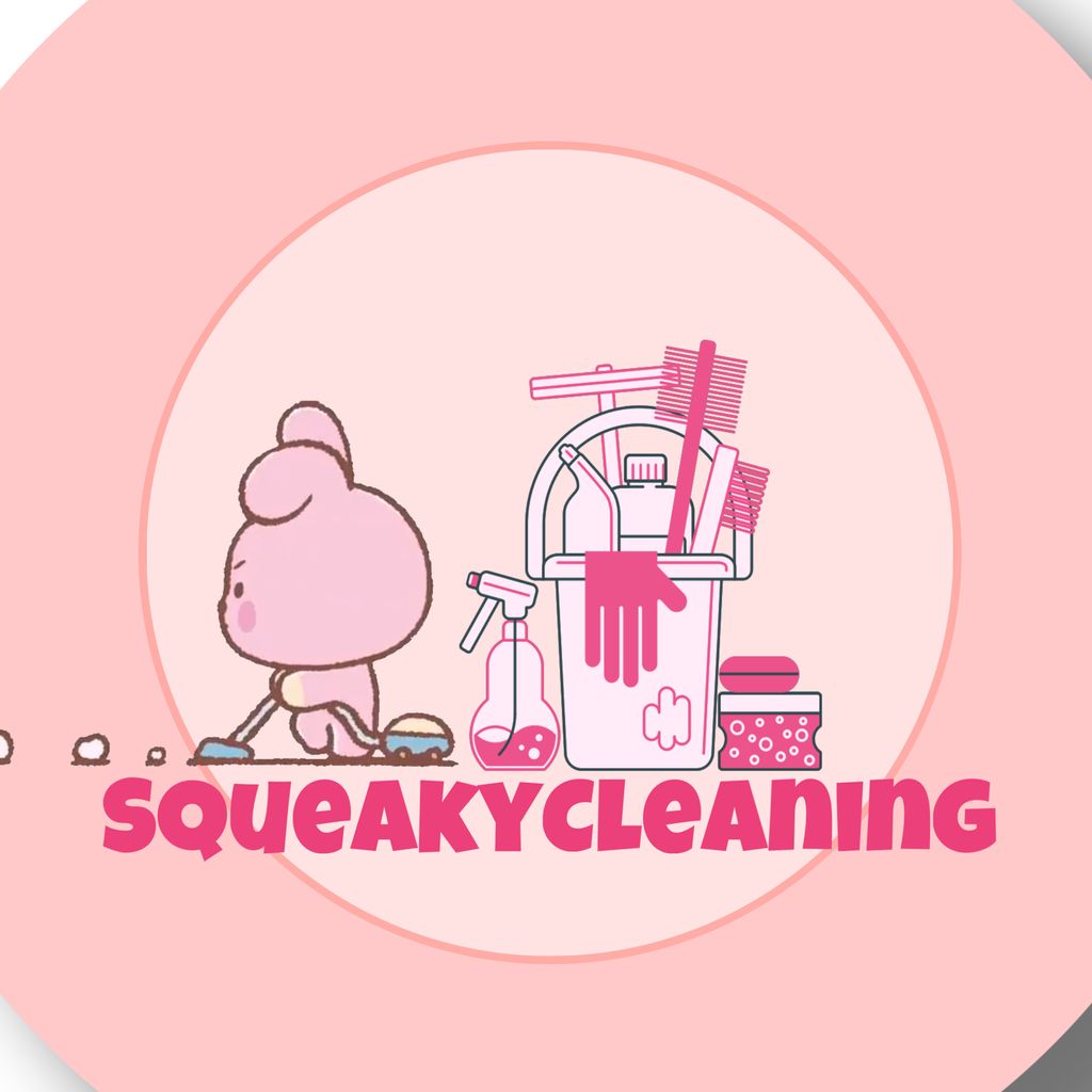 SqueakyCleaning