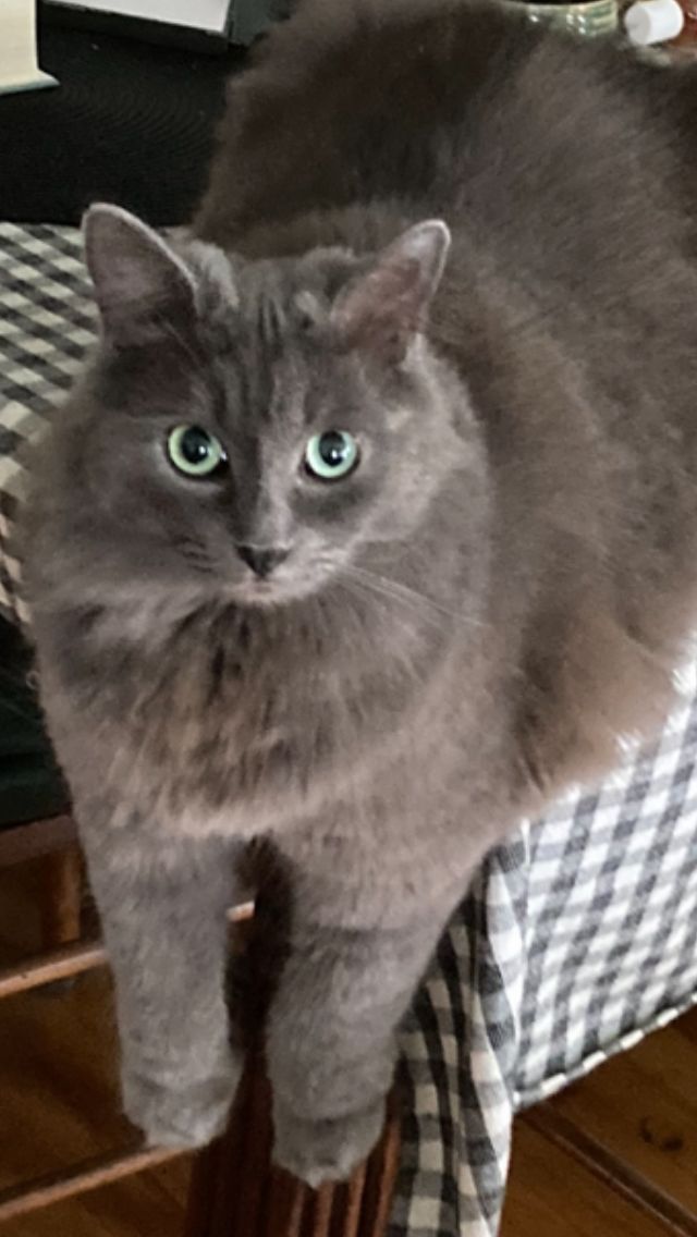 Lucy