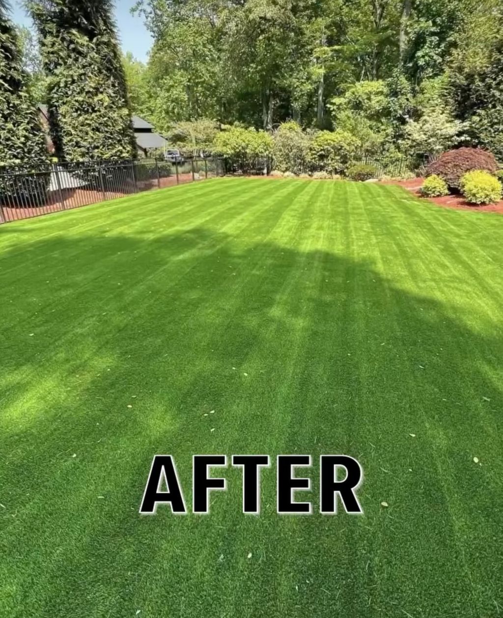 Artificial Turf Installation