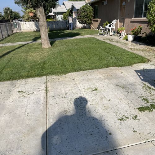 Lawn Mowing and Trimming