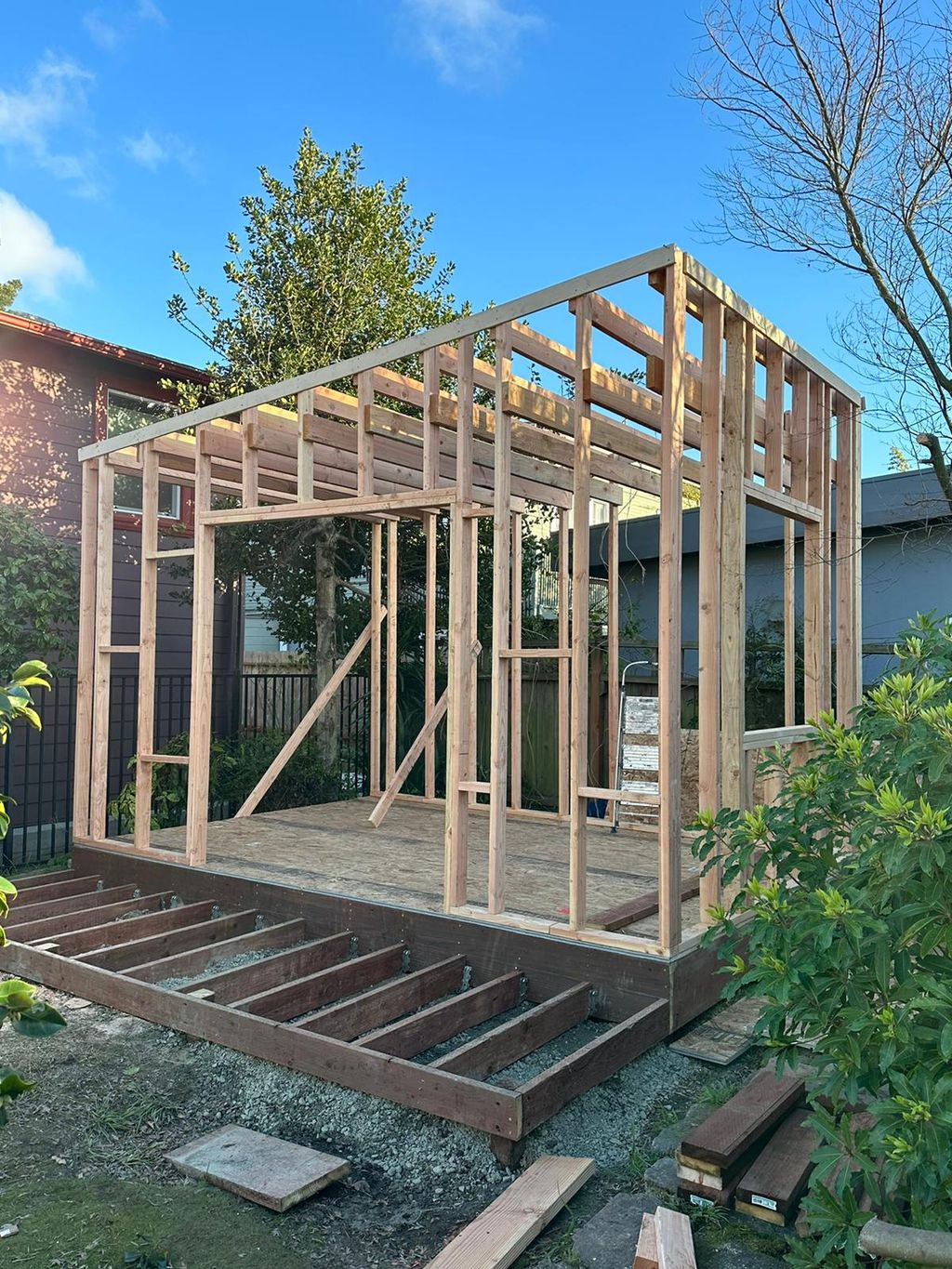 Projects and media