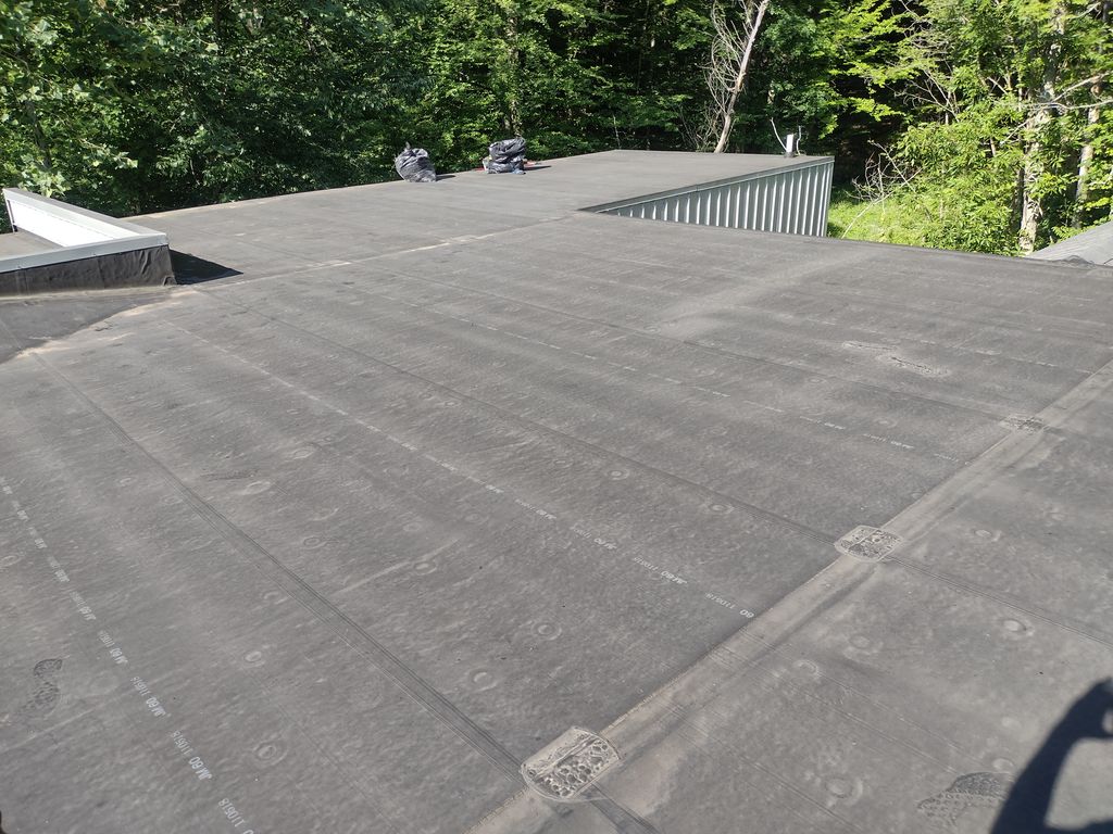 Roof Cleaning