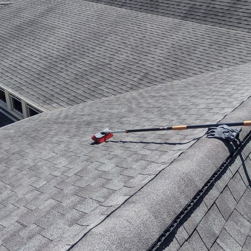Gutter Cleaning & Roof Cleaning