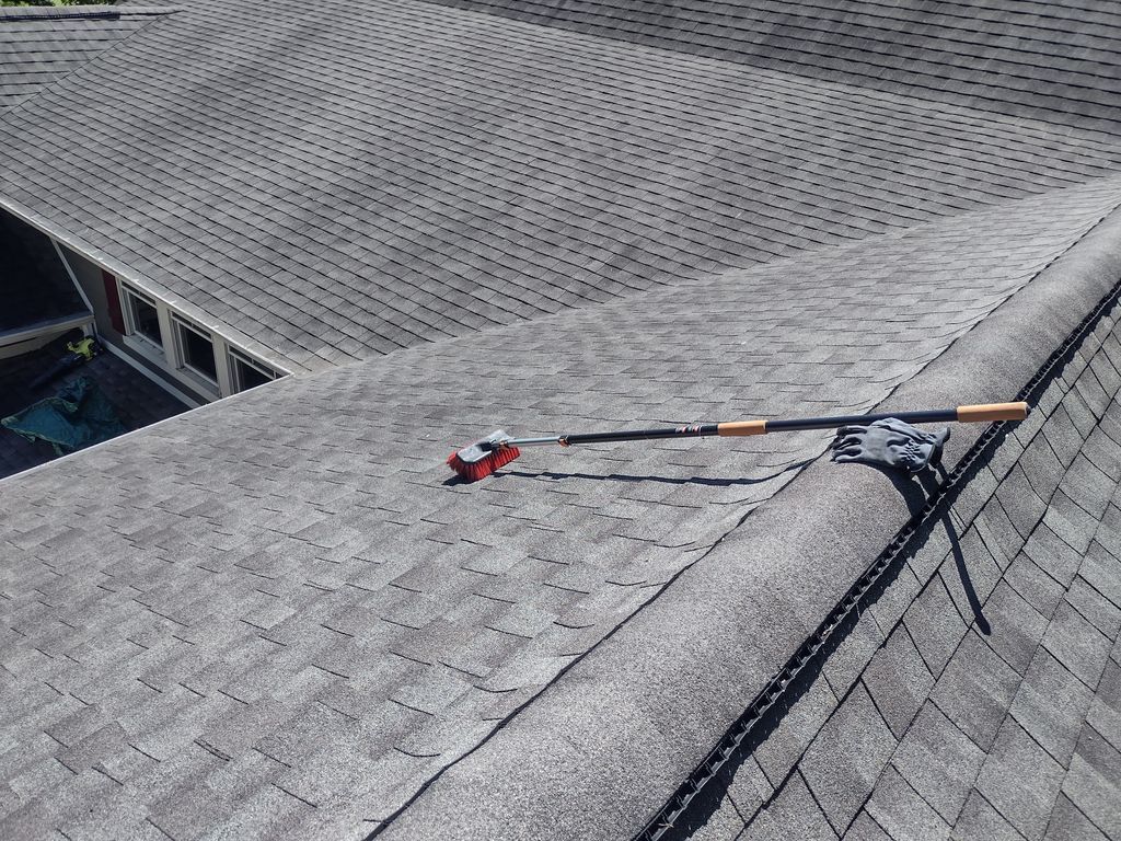 Gutter Cleaning & Roof Cleaning