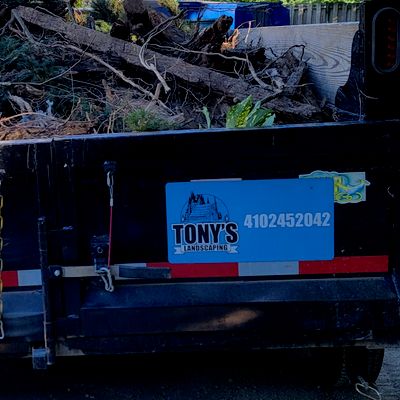 Avatar for Tonys Landscaping And Handyman Services