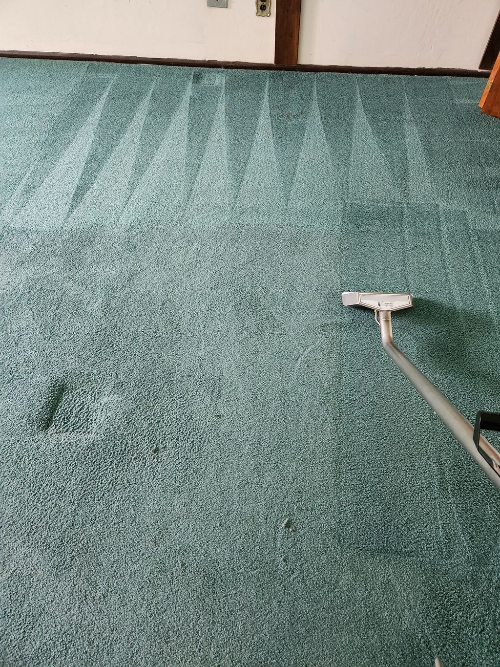 refresh of an older carpet on a newly purchased ho