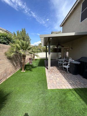 Backyard renovation with turf and plants.