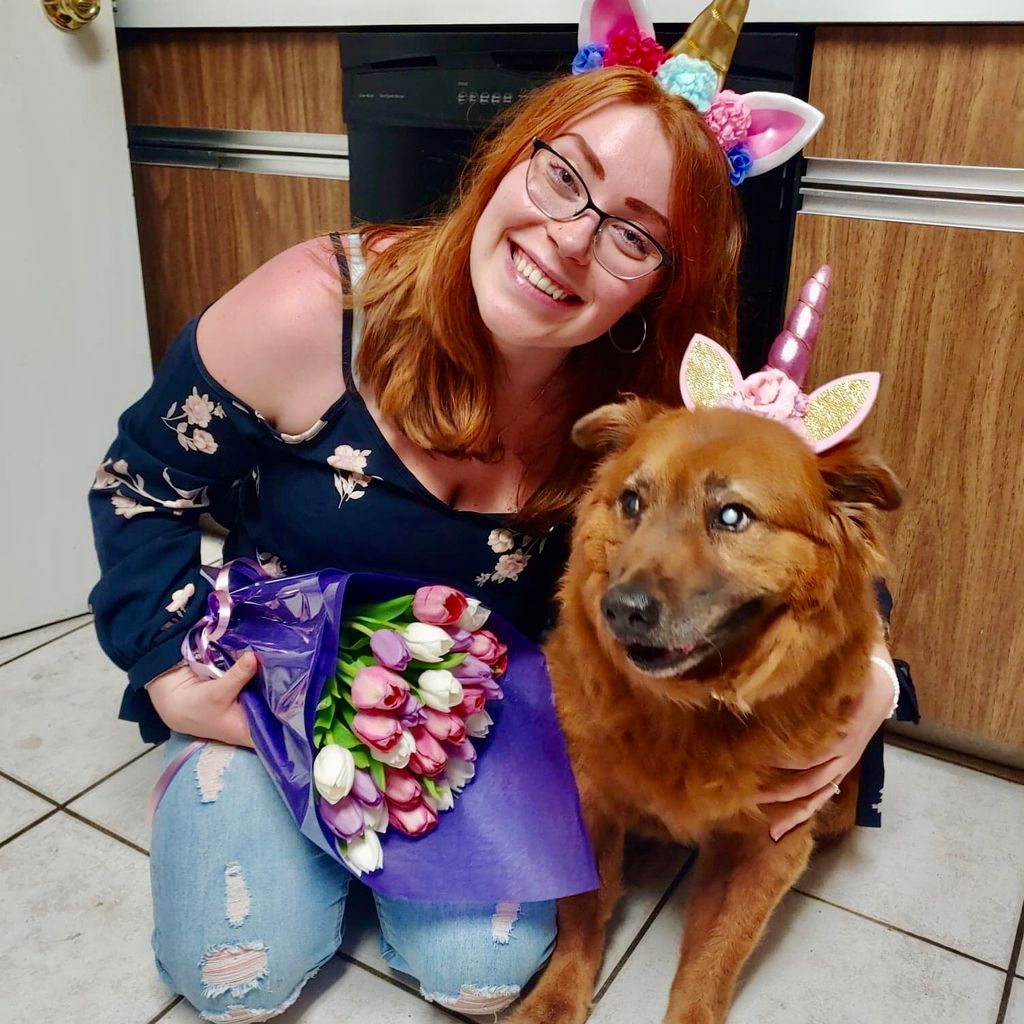 Liz’s In-Home Dog Grooming & Pet Care