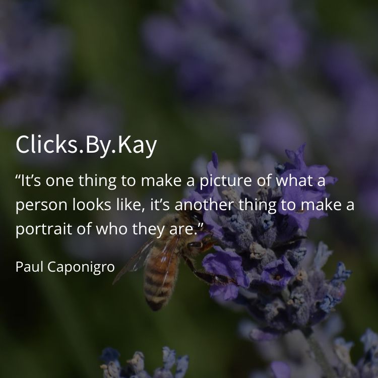 Clicks.By.Kay