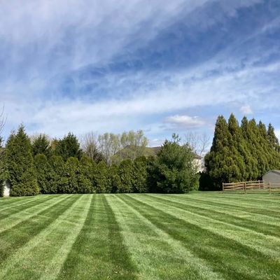 Avatar for Top notch lawncare landscape