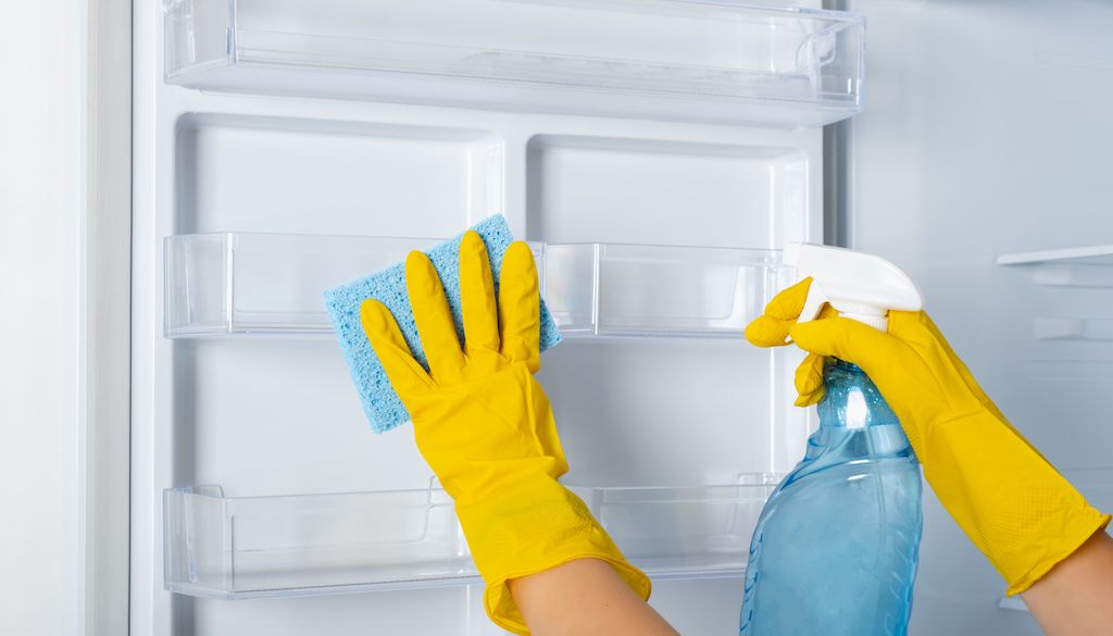 A Clean Refrigerator is a Must With Step-by-Step Guide