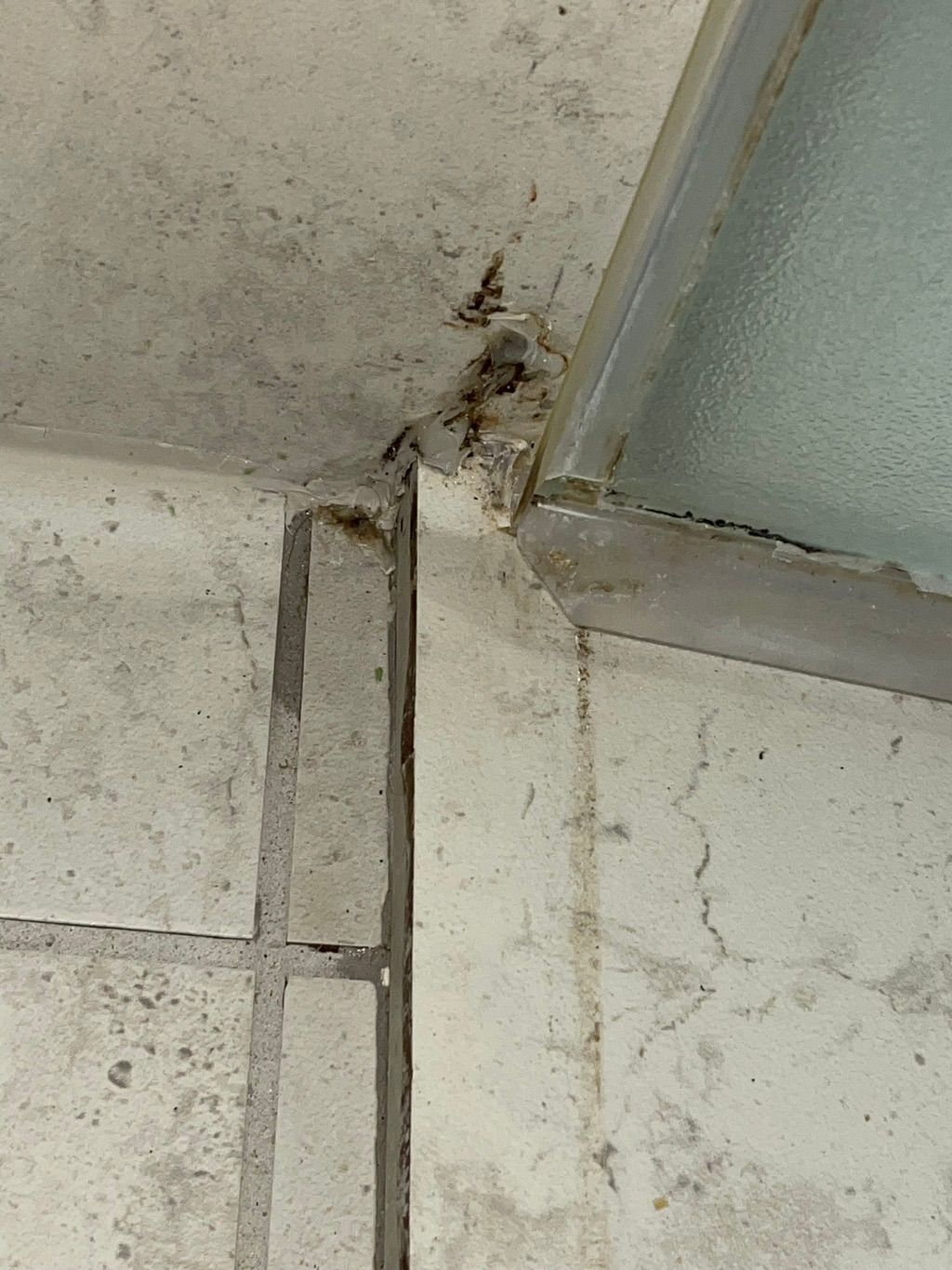 Gross mold/mildew behind the caulk. 