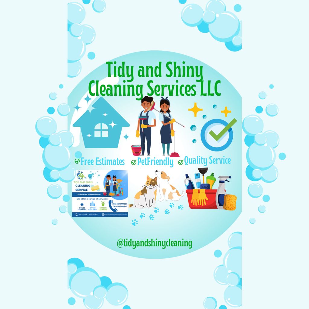 Tidy and Shiny Cleaning Services