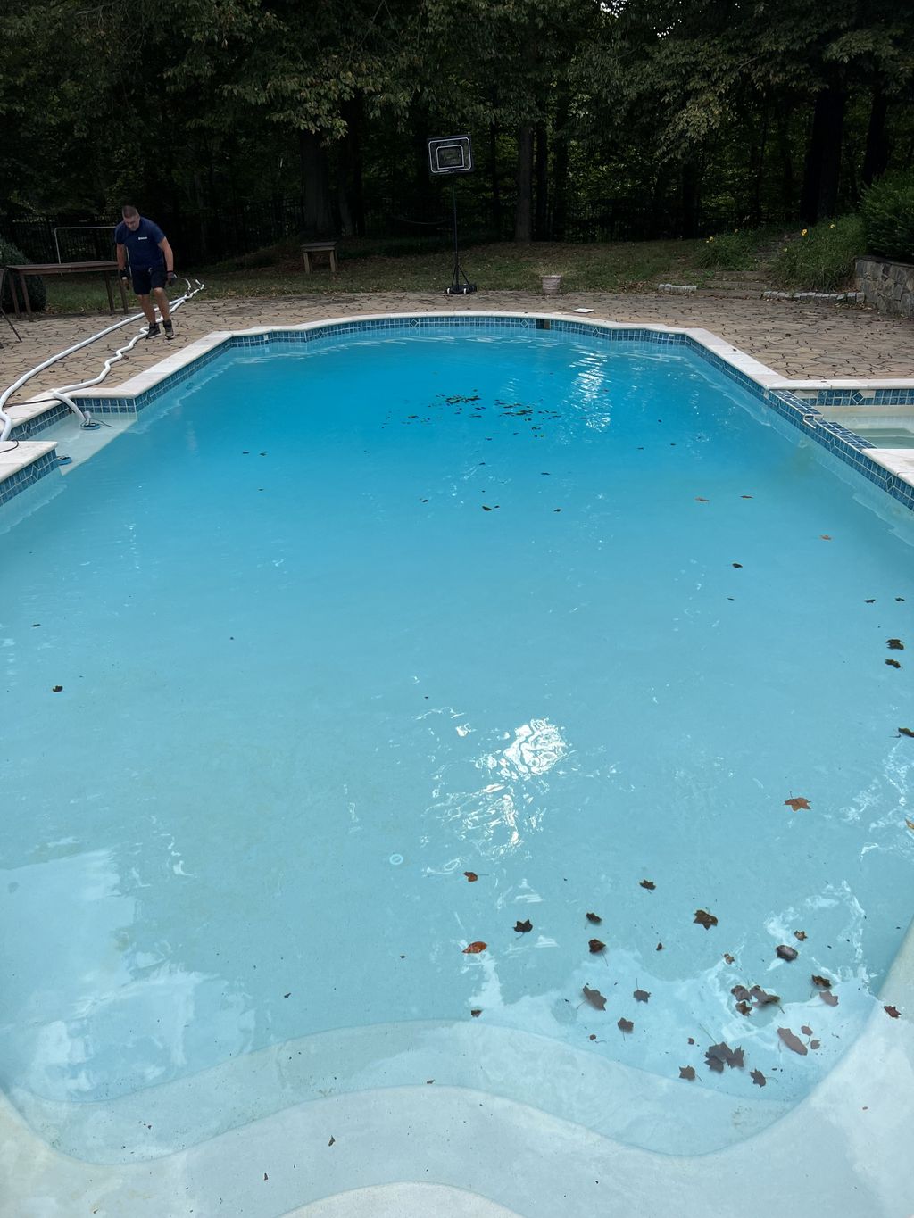 Swimming Pool Cleaning, Maintenance, and Inspection