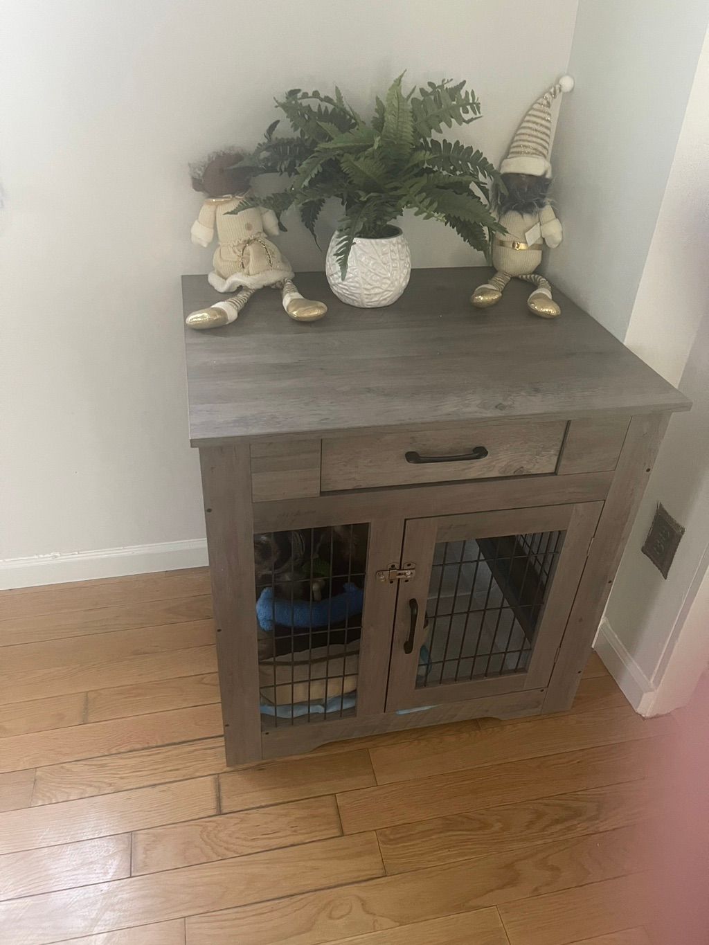 Customer photos