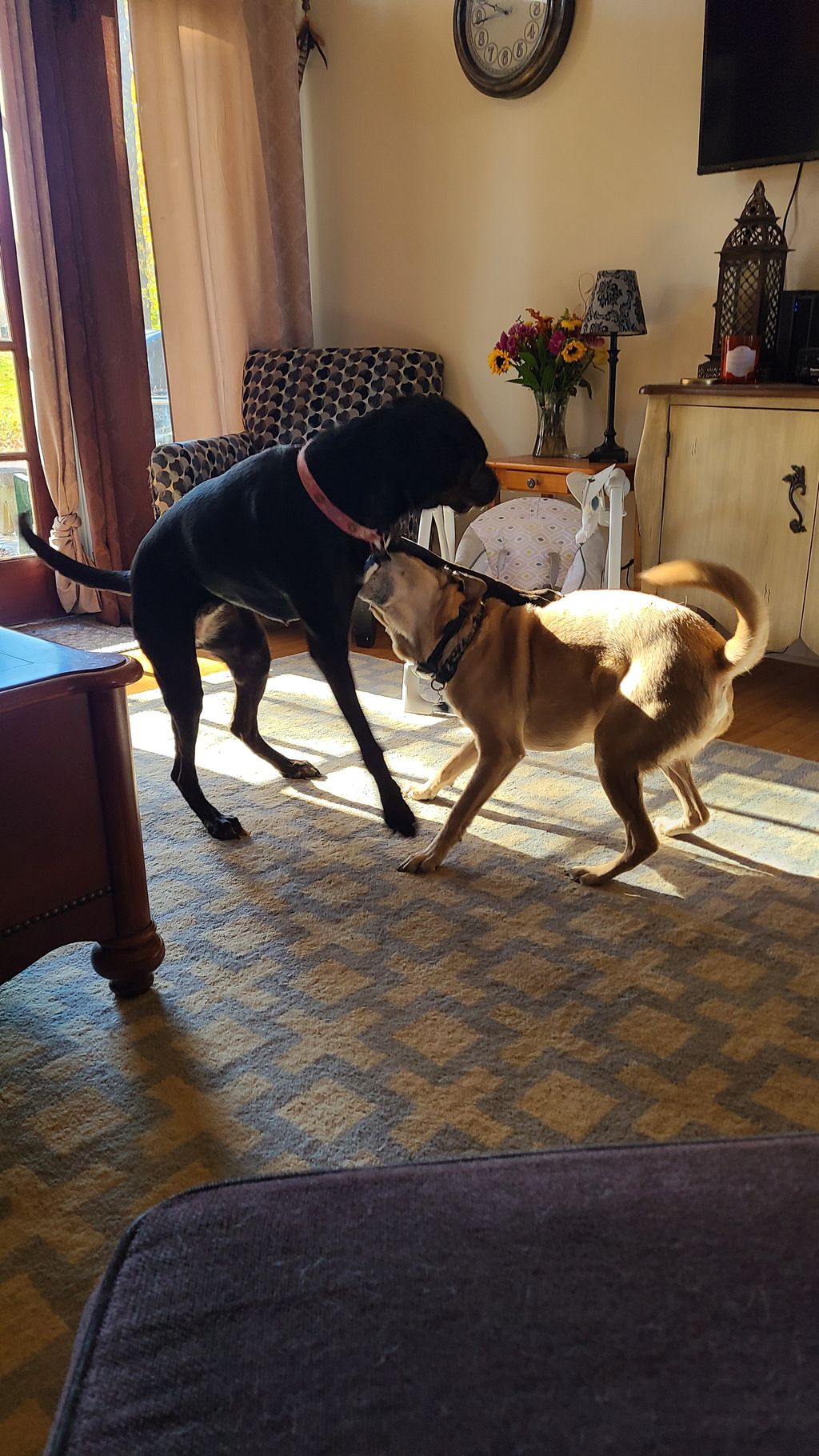 Playtime 