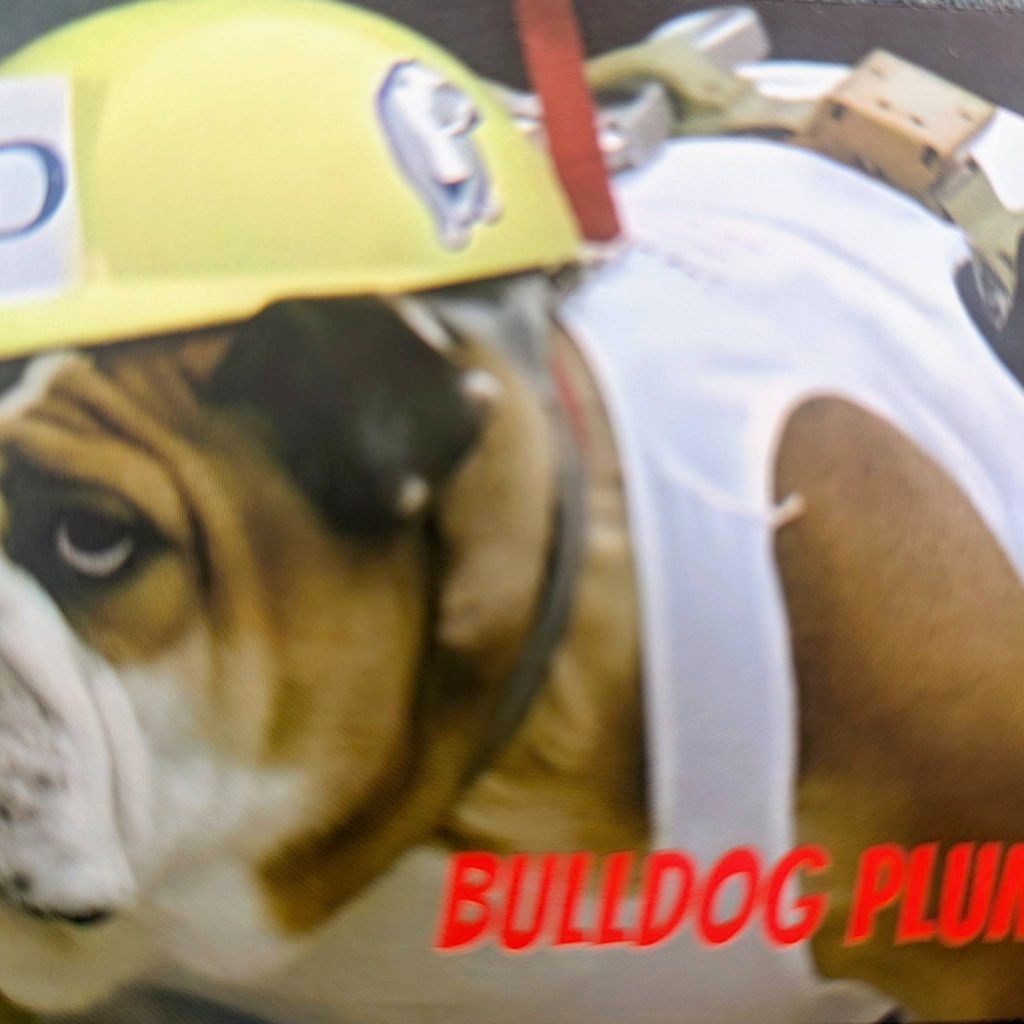Bulldog Plumbing and Handy Service