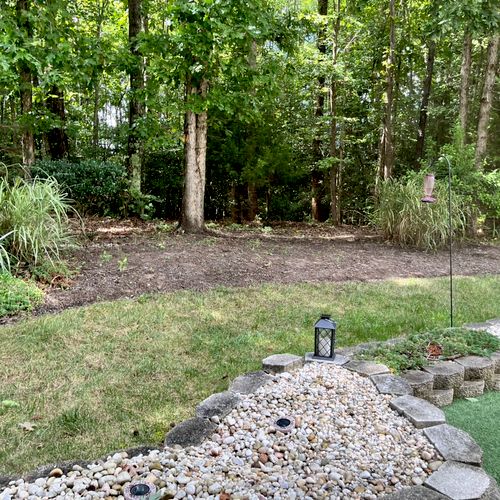 Cleared several overgrown plants and shrubs includ