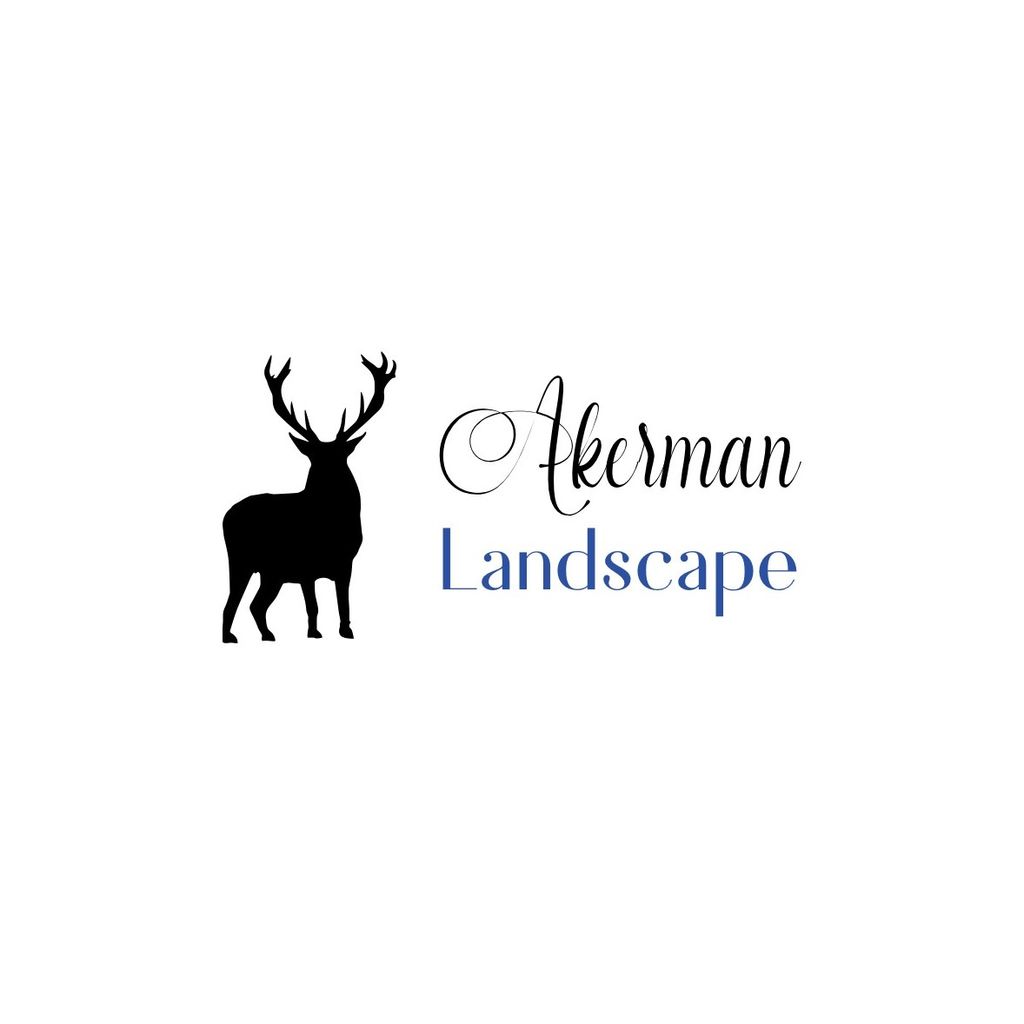 Ackerman Landscape