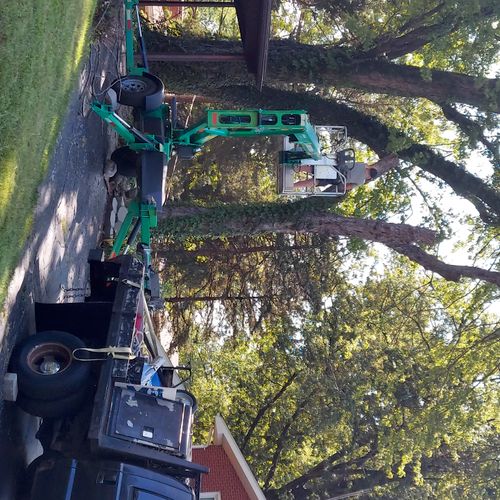 Thank you J&B Tree Services. Prompt, professional 