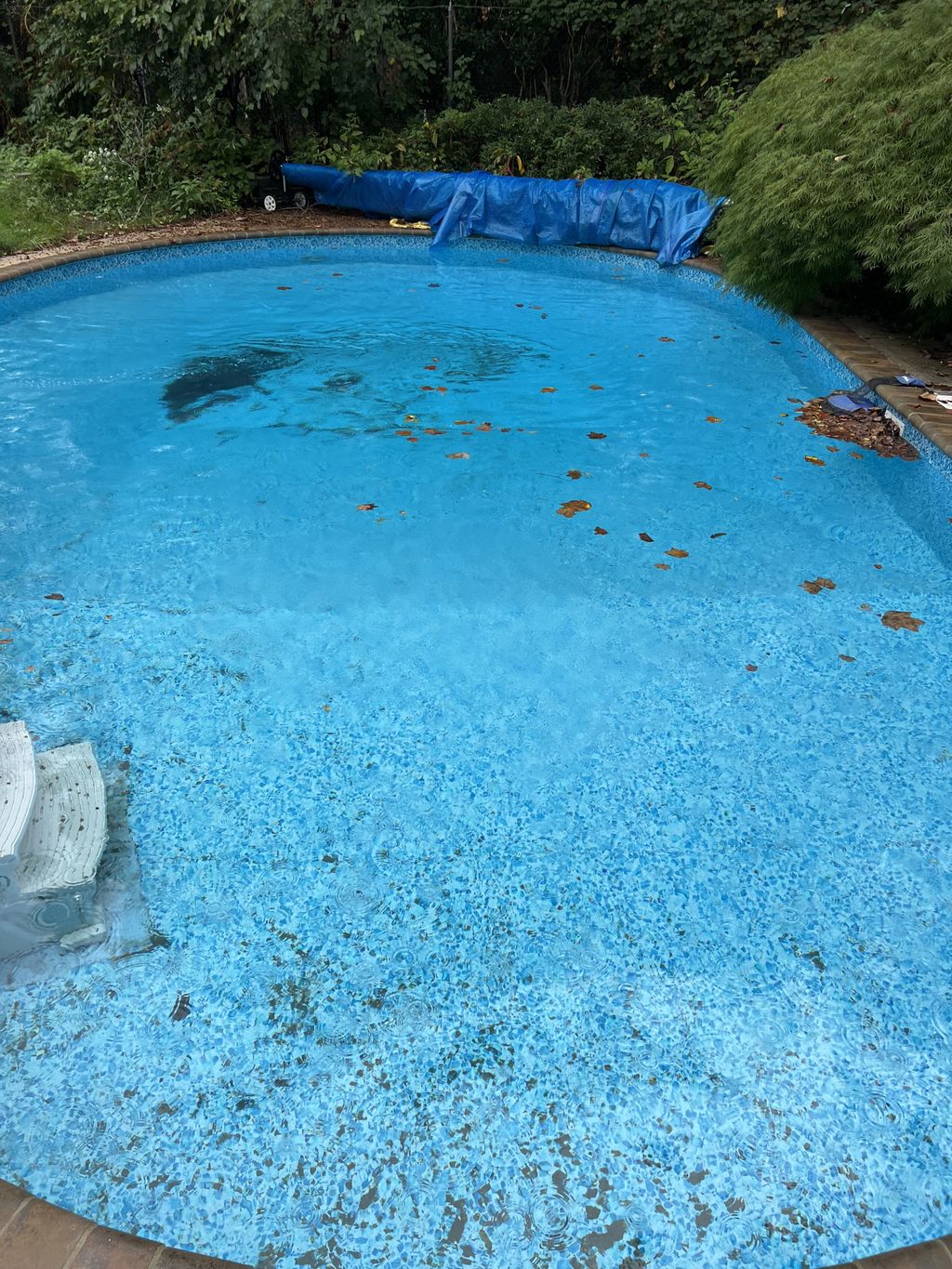 Swimming Pool Cleaning, Maintenance, and Inspection