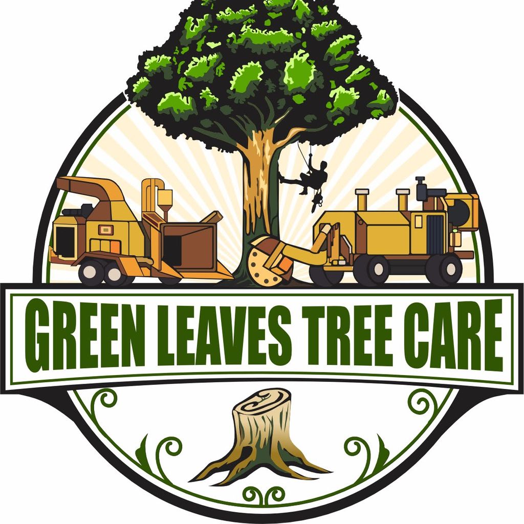 GREEN LEAVES TREE CARE