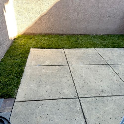 We needed to install sod for our dogs on short not