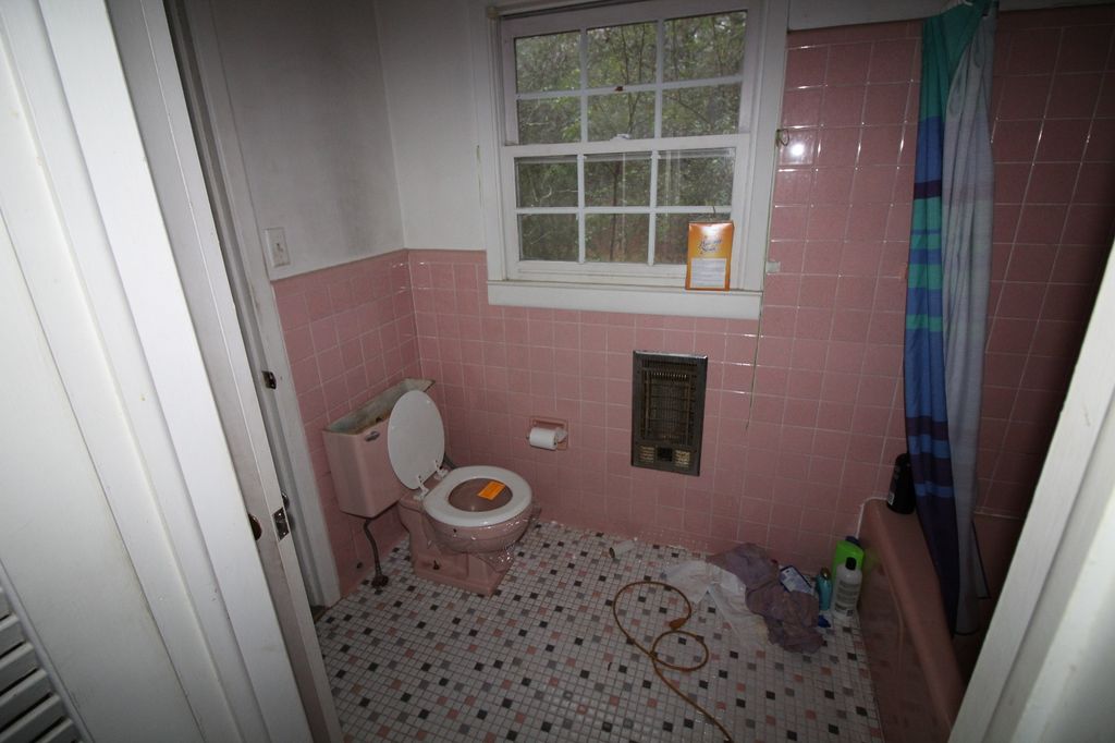 Before Bathroom Reno