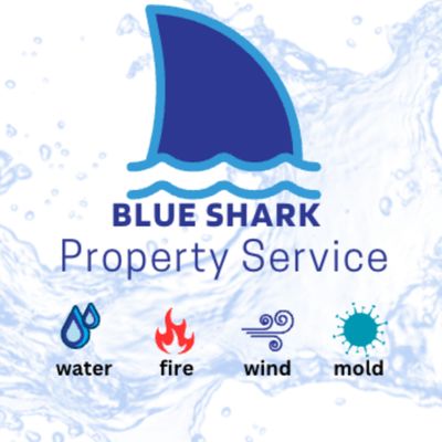 Avatar for Blue Shark Property Services