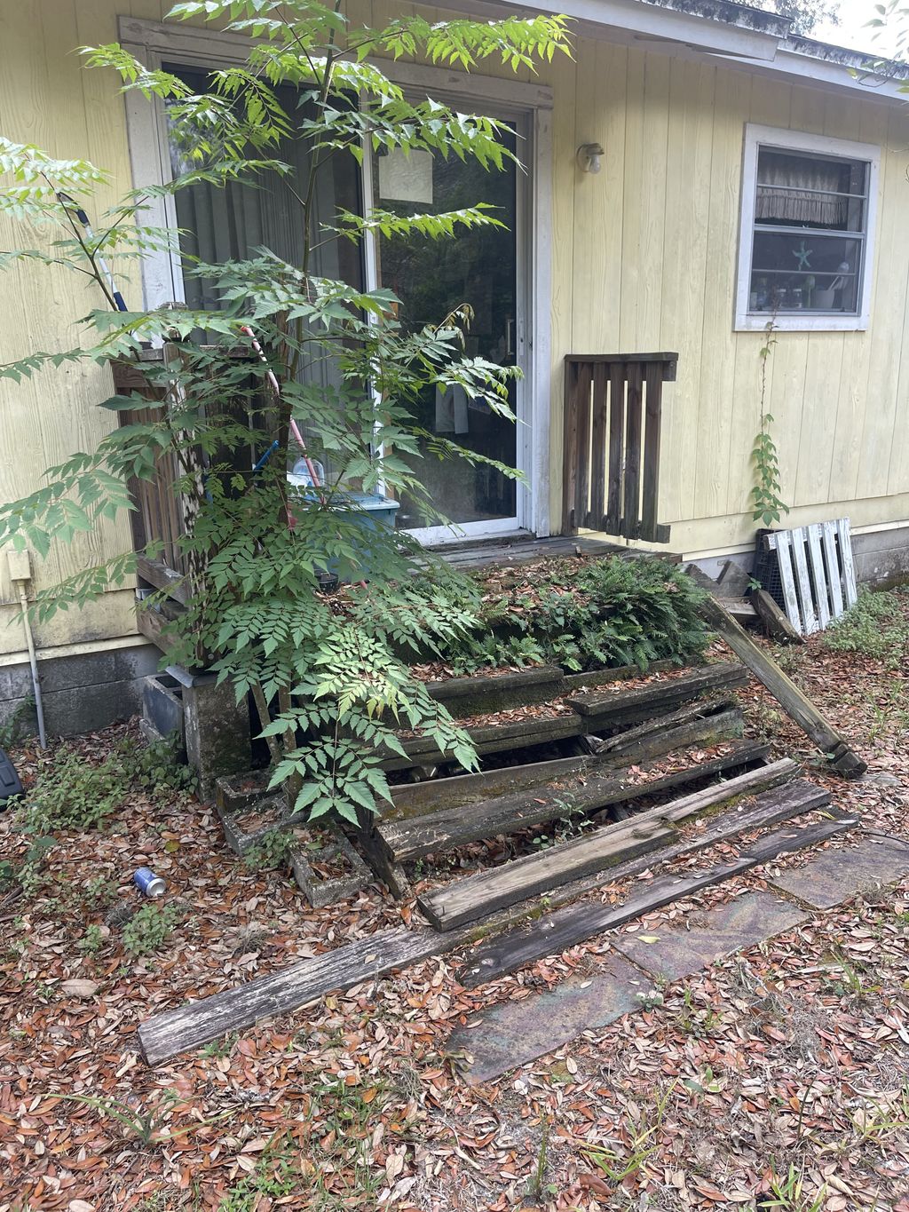 Before back steps.