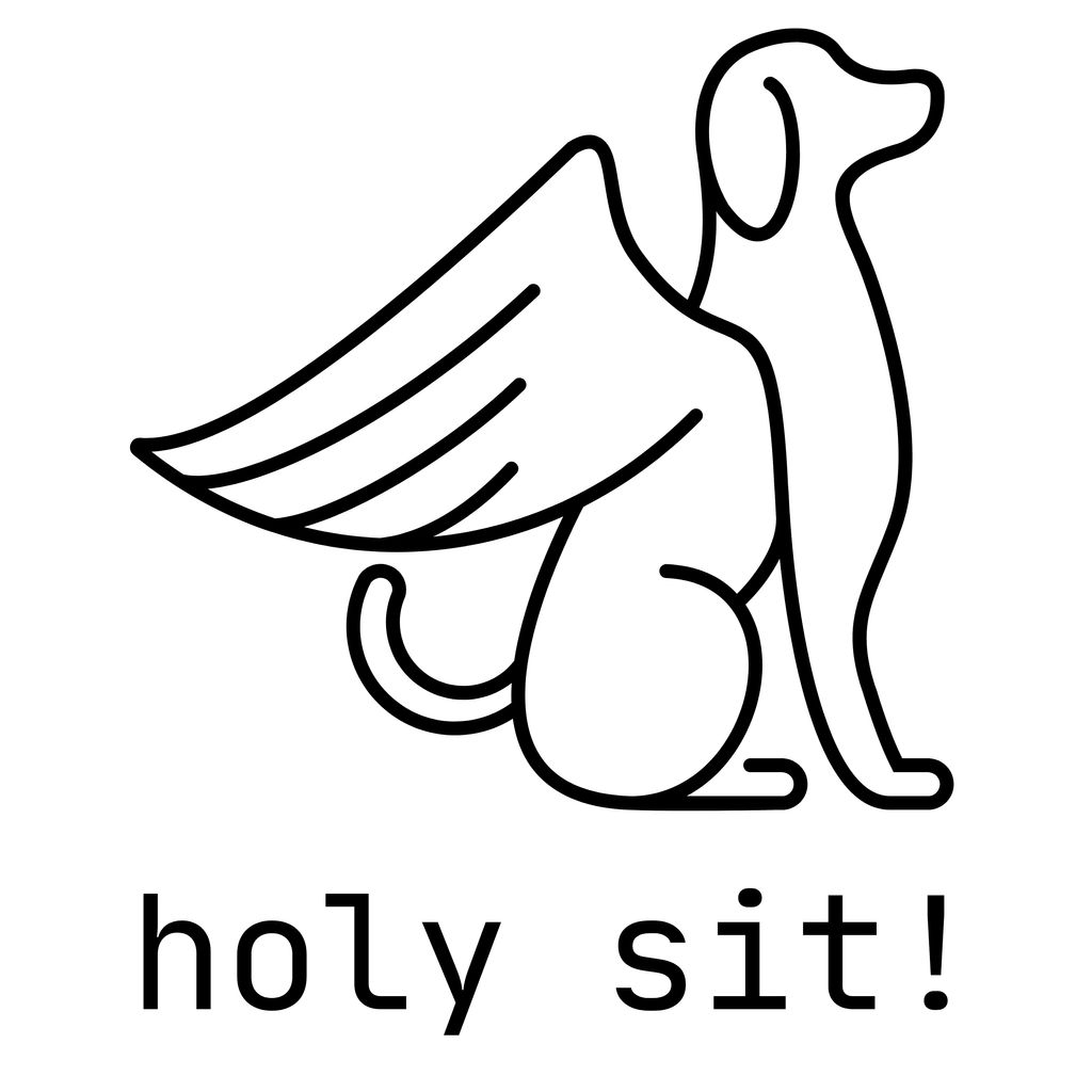 holy sit!