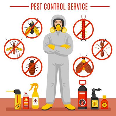 Avatar for Z Pest control