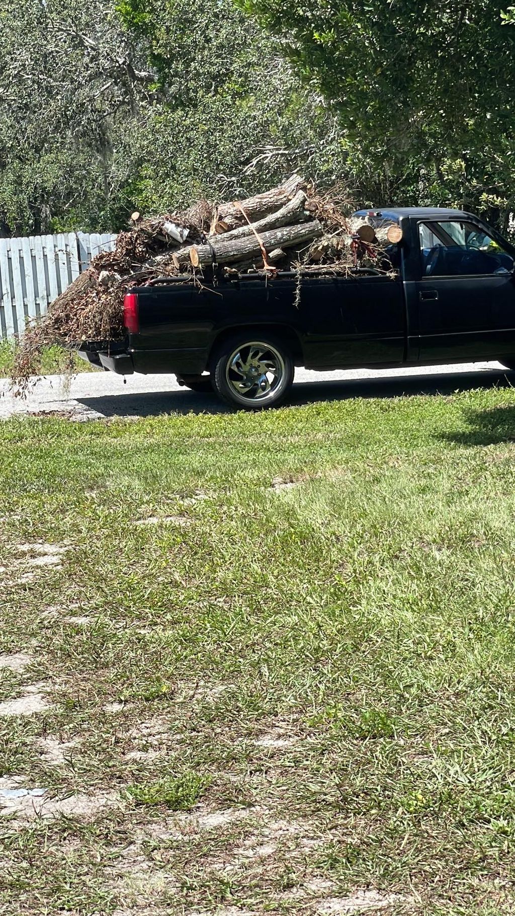 Tree Trimming and Removal