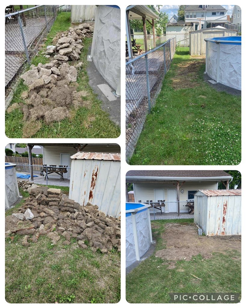 Projects and media