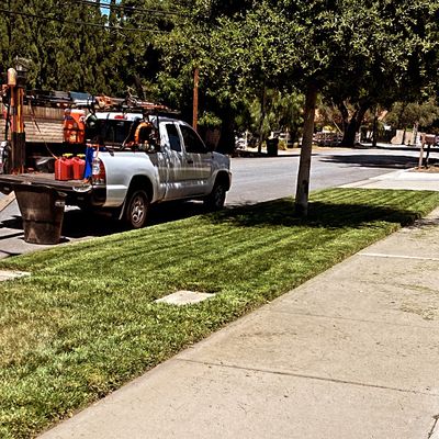 Avatar for Calvillo gardening